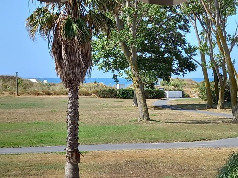 Amouvera C14, T2 Vue Mer, Piscine, Clim, Parking Agde Exterior foto